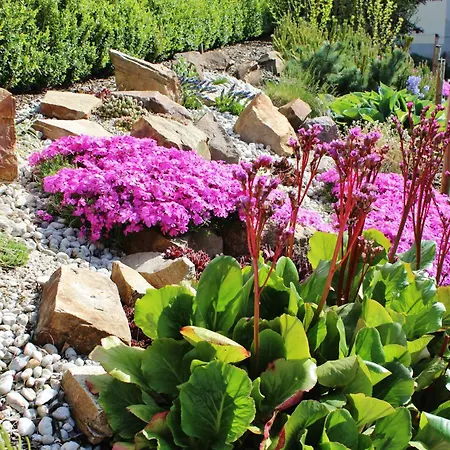 Folklorehof מלון קמניץ