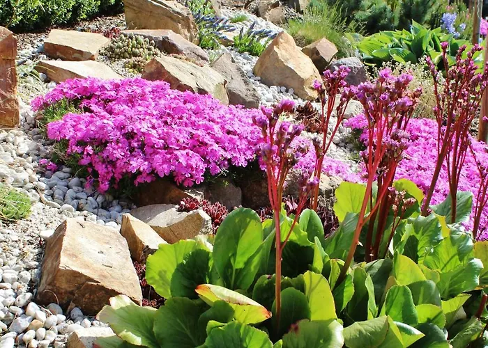 Folklorehof Hotel Chemnitz